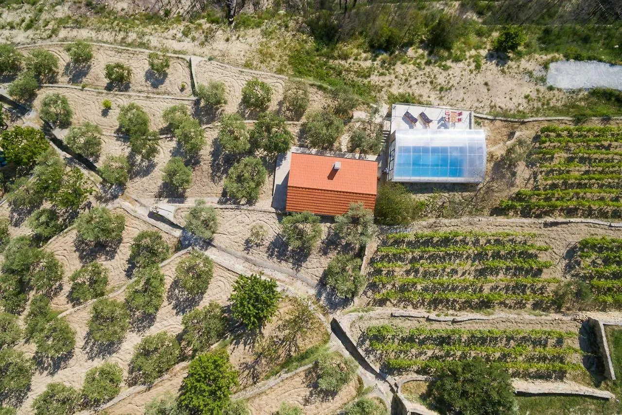 Divine Villas Split